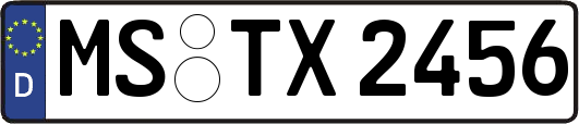 MS-TX2456