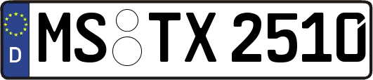 MS-TX2510