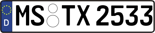 MS-TX2533