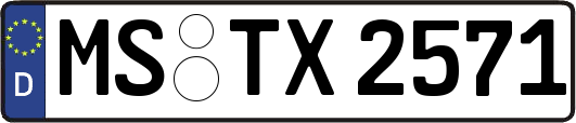 MS-TX2571