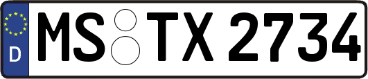 MS-TX2734