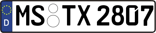 MS-TX2807