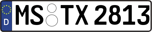 MS-TX2813
