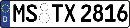 MS-TX2816