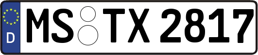 MS-TX2817