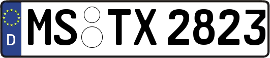 MS-TX2823