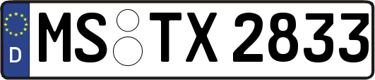 MS-TX2833