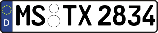 MS-TX2834