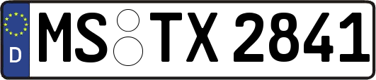 MS-TX2841