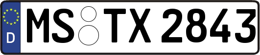 MS-TX2843