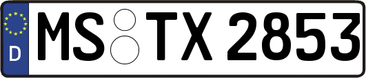 MS-TX2853