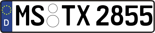 MS-TX2855
