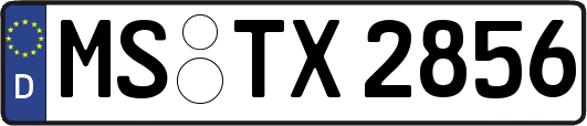 MS-TX2856