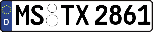 MS-TX2861