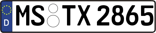 MS-TX2865