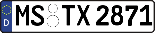 MS-TX2871