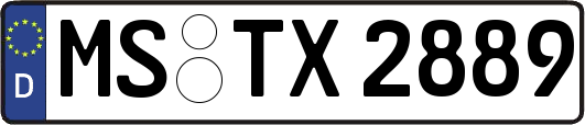 MS-TX2889