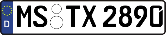 MS-TX2890