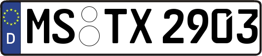 MS-TX2903