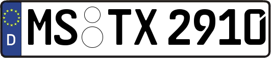 MS-TX2910