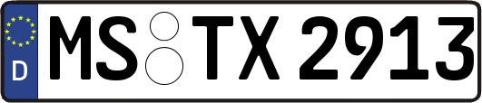 MS-TX2913