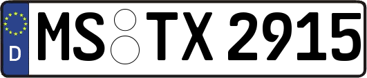 MS-TX2915