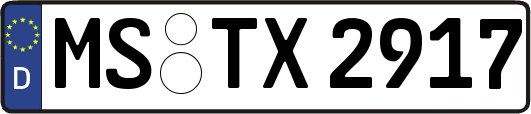 MS-TX2917
