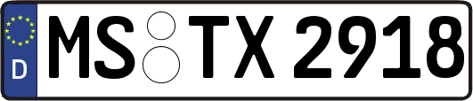 MS-TX2918