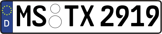 MS-TX2919
