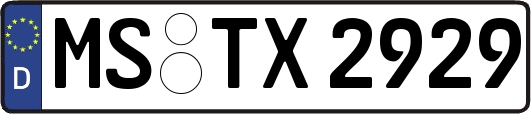 MS-TX2929