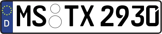MS-TX2930