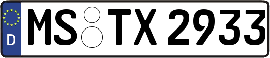 MS-TX2933