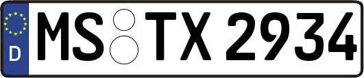 MS-TX2934