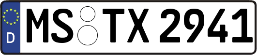 MS-TX2941