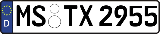 MS-TX2955