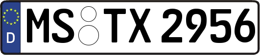 MS-TX2956