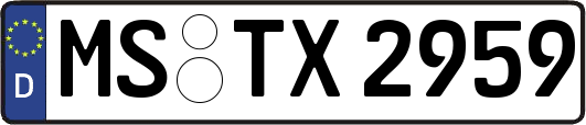 MS-TX2959