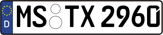 MS-TX2960