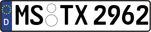 MS-TX2962