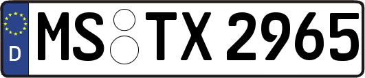 MS-TX2965