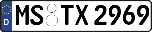 MS-TX2969