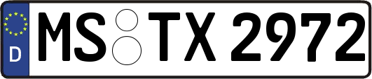 MS-TX2972