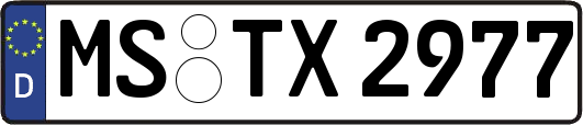 MS-TX2977