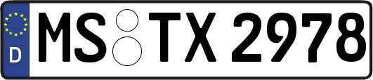 MS-TX2978