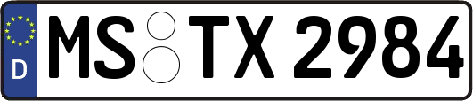 MS-TX2984