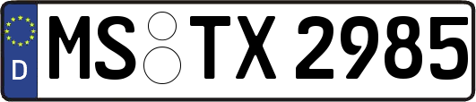 MS-TX2985