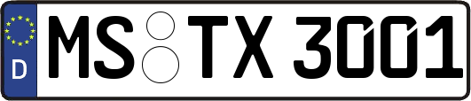 MS-TX3001