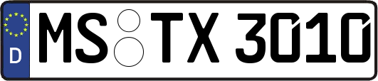 MS-TX3010