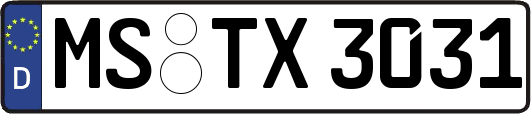 MS-TX3031