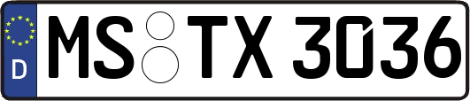 MS-TX3036